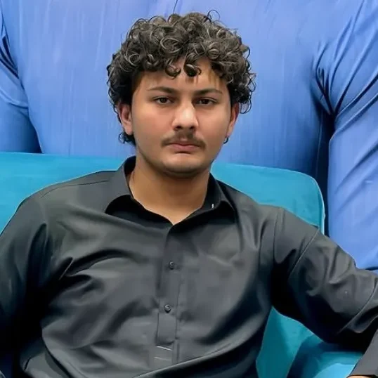 Ameer Hamza, Web Designer